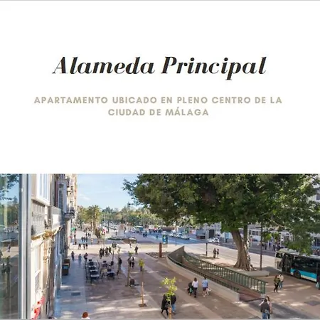 Apartment Alameda Principal Larios Centro Wifi