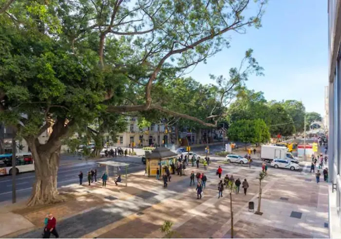 Alameda Principal Larios Centro Wifi * Málaga